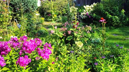 a garden filled with lots of different colored flowers at Fewo im Grünen in Osterode