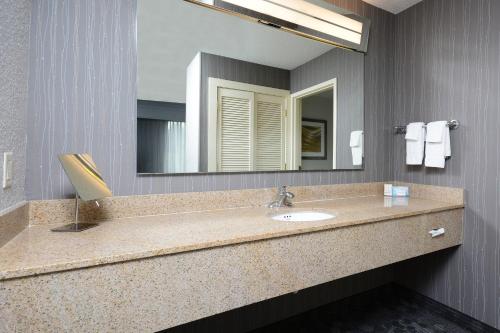 a bathroom with a sink and a large mirror at Courtyard Danville in Danville