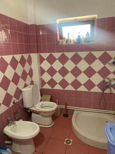 a bathroom with a toilet and a tub and a sink at Villa Rejan in Pogradec