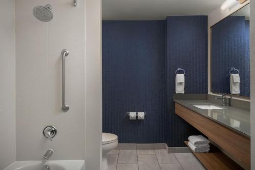 a bathroom with a sink and a toilet at Fairfield Inn & Suites Roanoke Hollins/I-81 in Roanoke