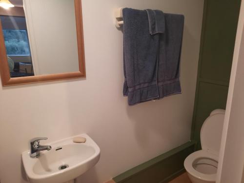 a bathroom with a sink and a mirror and a toilet at Spiral Gardens Country Park Retreat in Raurimu Spiral