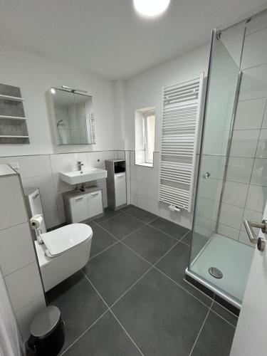 a bathroom with a toilet and a sink and a shower at Alte Schule 1 in Schauenburg