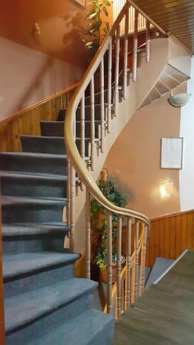 a staircase in a house with a plant at Men's Hostel in Fatih, Istanbul in Istanbul