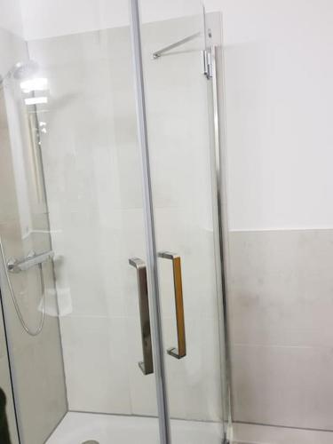 a shower with a glass door in a bathroom at Ferienwohnung an der Saline in Bad Rothenfelde