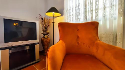 豐沙爾的住宿－Casa Gina, with views to Funchal Bay，客厅里一张橙色的沙发,配有电视