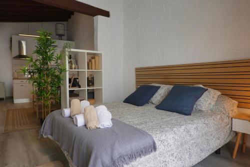 een slaapkamer met een bed met blauwe en witte kussens bij Apartamento AstaRegia in Jerez de la Frontera