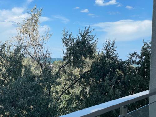 uma vista para as árvores e para o oceano a partir de uma varanda em Selena by the sea em Mamaia