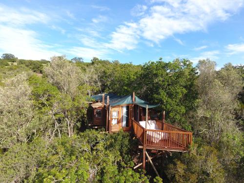 a tree house in the middle of the forest at Teniqua Treetops in Sedgefield