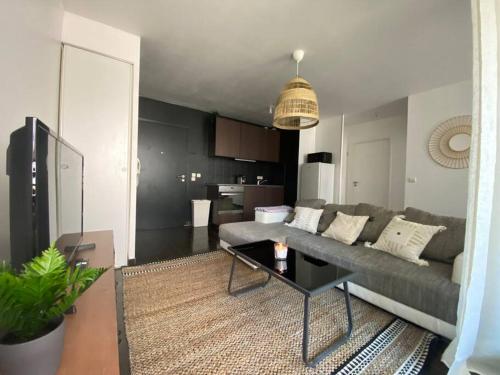 帕拉瓦萊弗洛特的住宿－Très bel appartement cosy，客厅配有沙发和桌子