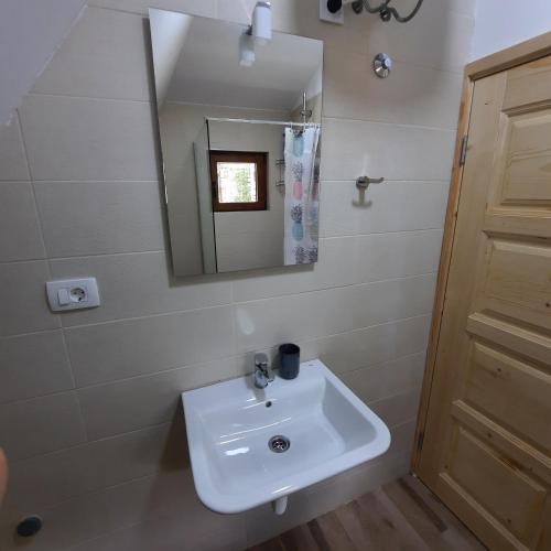 a bathroom with a sink and a mirror at Zelenova koliba in Žabljak