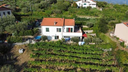 Φυσικό τοπίο κοντά σε αυτό το bed & breakfast