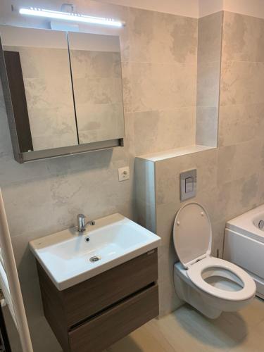 een badkamer met een toilet en een wastafel bij New Apartment Trivale Park in Piteşti