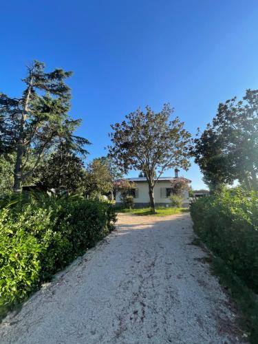 a dirt road leading to a house with trees at Nakupenda Relais in Latina