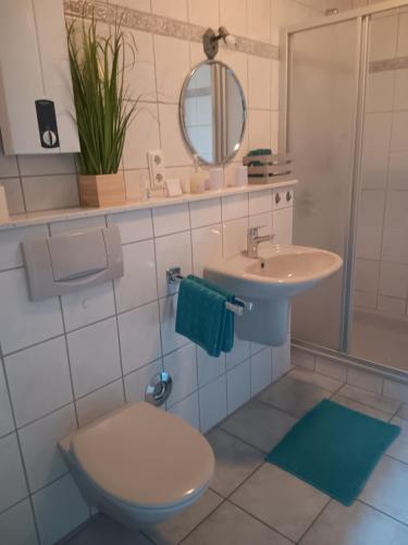 W łazience znajduje się toaleta, umywalka i lustro. w obiekcie Ferienwohnung Mattheiser Weiher w Trewirze