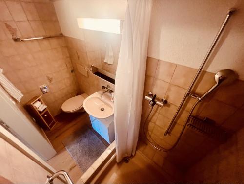a small bathroom with a shower and a sink at Alpaka-Ferienhaus Oenzlen in Wynigen