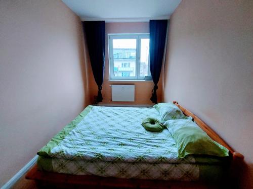 Cama pequeña en habitación con ventana en Berlin, en Berlín