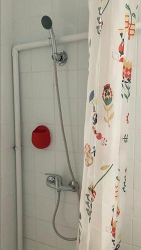 a shower curtain with flowers on it in a bathroom at Studio au centre de Quimper RDC in Quimper