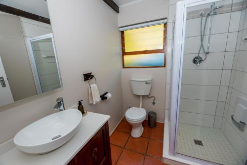 a bathroom with a sink and a toilet and a shower at Boscia Farmstay in George