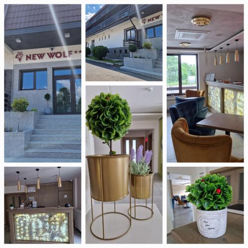 Entrance and lobby of New Wolf in Bran