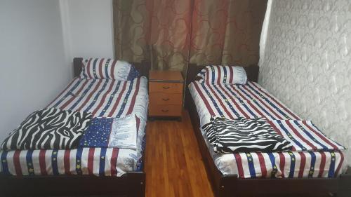 two beds sitting next to each other in a room at Apartamentul Oaspetilor in Slatina