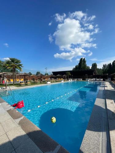 a large swimming pool with a ball in the water at Hotel Tenuta Santo Stefano in Campagnola Emilia