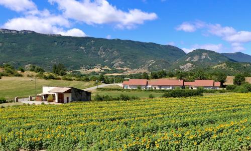 um campo de flores amarelas em frente a uma fazenda em La Bargine em Aspremont