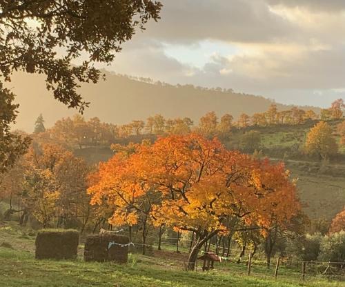 Paisaje cerca de este apartamento