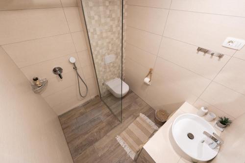 e bagno con doccia, servizi igienici e lavandino. di Amalija Apartments a Strunjan