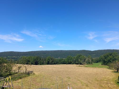 an open field with a fence and trees in the background at Taborda familly in La Mouille