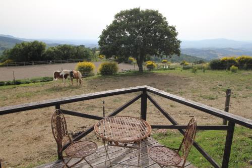 Paisaje cerca de este apartamento