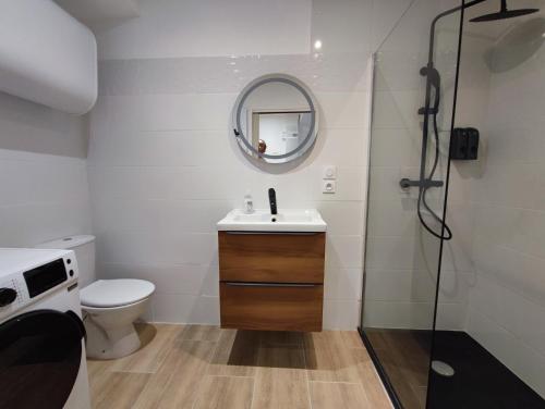 een badkamer met een wastafel, een toilet en een spiegel bij Jardin entre cité et bastide in Carcassonne