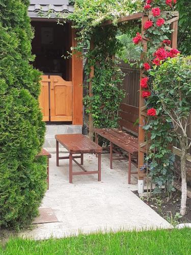 Taman di luar Casa Fetic