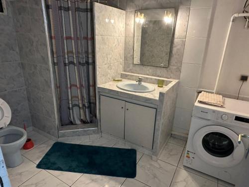 uma casa de banho com um lavatório e uma máquina de lavar roupa em Chez Nouny em Le Marin