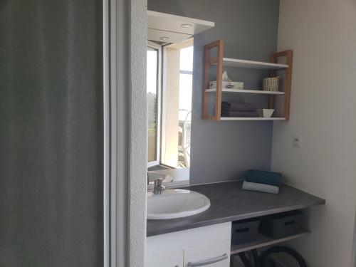 une salle de bain avec un lavabo et un miroir dans l'établissement LE VINCI Studio tout confort proche centre ville avec terrasse et parking, à Blois