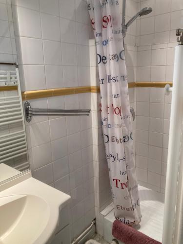 La salle de bains est pourvue d'un rideau de douche et de toilettes. dans l'établissement La Garconniere Centre Historique Troyes, à Troyes