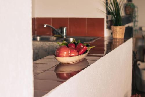 una ciotola di pomodori su un bancone in cucina di MASIA BLANCA a Deltebre