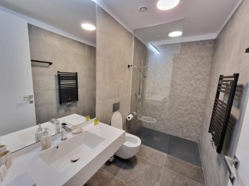 a bathroom with a sink and a toilet and a shower at One Inclusive Best Region Apartment in Bucharest