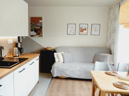 a kitchen and living room with a couch and a table at Agroturystyka Jelenia in Wisła