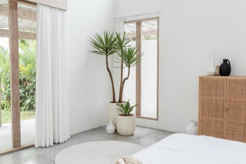 um quarto com uma cama e um vaso de plantas em Villa Oeste Modern Tropical 2BDR Villa Canggu em Munggu