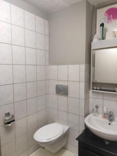 łazienka z toaletą i umywalką w obiekcie City Home Zurich w Zurychu