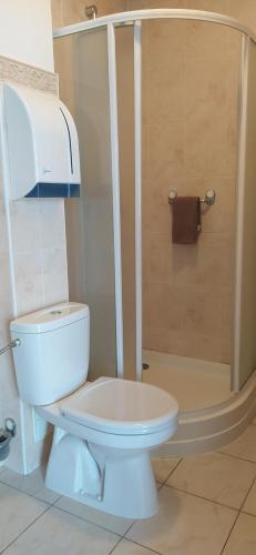 a white toilet in a bathroom with a shower at Duets in Daugavpils