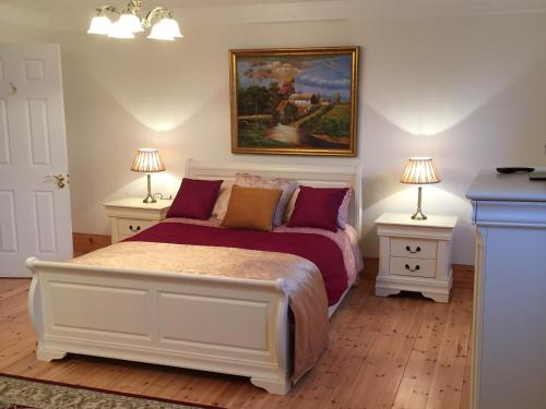 a bedroom with a bed with two night stands and two lamps at The Old Dispensary in Kinsale