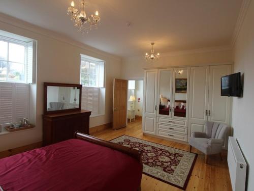 ein Schlafzimmer mit einem Bett und einem Spiegel sowie einem TV in der Unterkunft The Old Dispensary in Kinsale