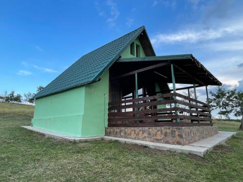 a green building with a black roof in a field at La Nuci in Valea scheilor