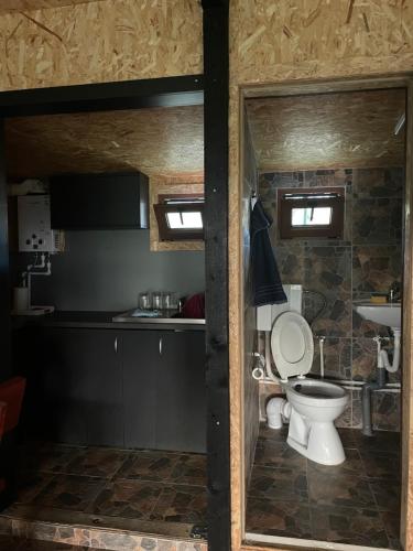 La salle de bains est pourvue de toilettes et d'un lavabo. dans l'établissement La Nuci, 