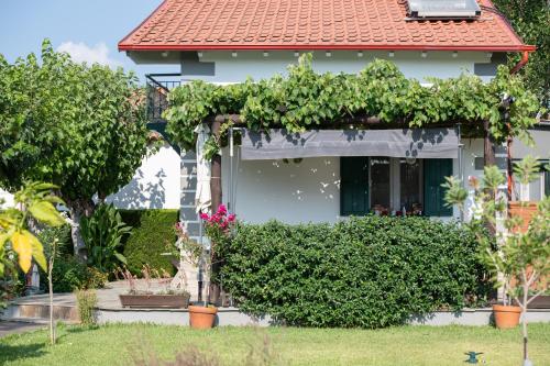 Zahrada ubytování Pratsas House