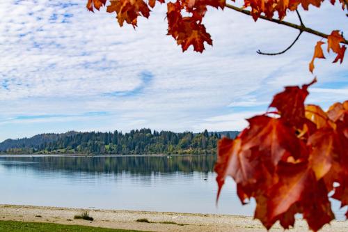 a view of a lake with red leaves on a branch at Hôtel-Restaurant Le Lac in Malbuisson