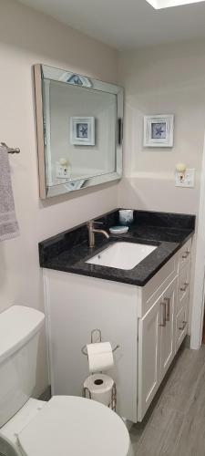 ein Badezimmer mit einem Waschbecken, einem WC und einem Spiegel in der Unterkunft Holiday Villas II ON THE BEACH w/Intercoastal View in Clearwater Beach