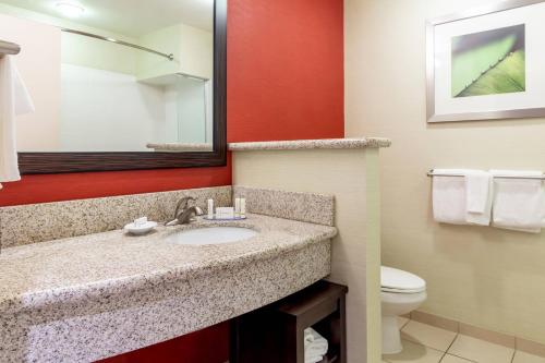 a bathroom with a sink and a toilet at Courtyard by Marriott Lexington Keeneland/Airport in Lexington