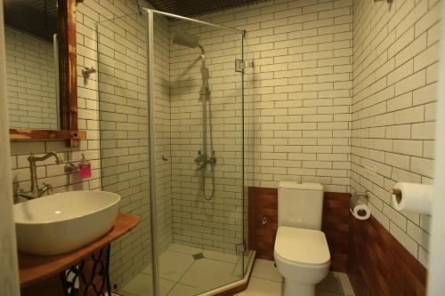 a bathroom with a shower and a toilet and a sink at Villa Vejini in Mamkoda